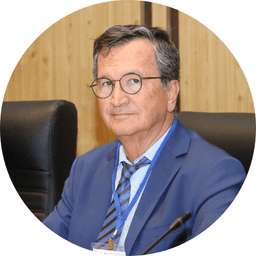 Mehmet Zileli